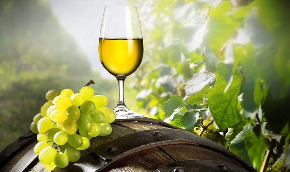 Acordo UE-China protege Vinho Verde de “imitações”