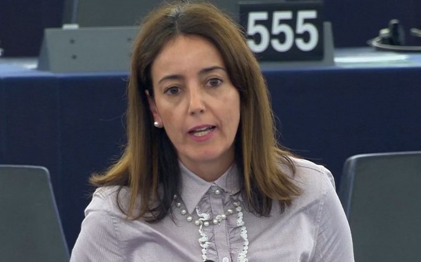 Eurodeputada Isabel Carvalhais quer medidas contra declínio das abelhas