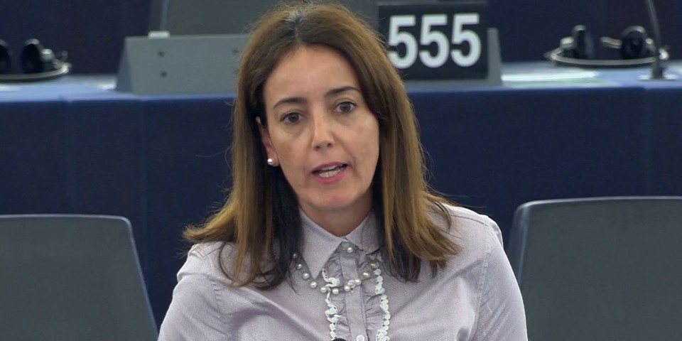 Eurodeputada Isabel Carvalhais quer medidas contra declínio das abelhas