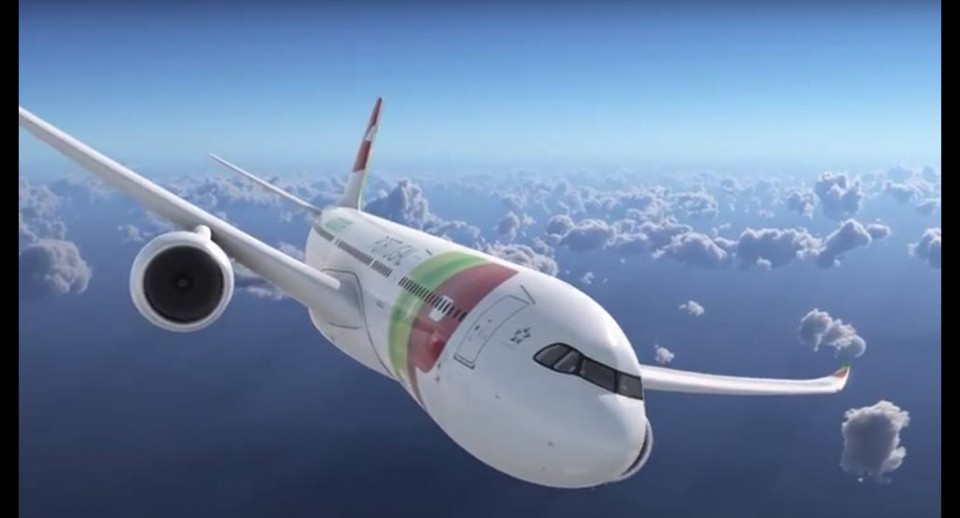 TAP oferece até ao final do ano 20% de desconto nas viagens para 2020