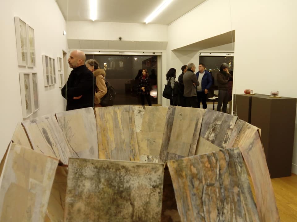 Braga. Museu Nogueira da Silva acolhe exposição de Rosário Forjaz (até 29 FEV)
