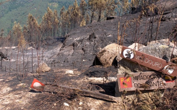 Incêndios. BE quer “gestão coerente” do Parque Nacional da Peneda-Gerês