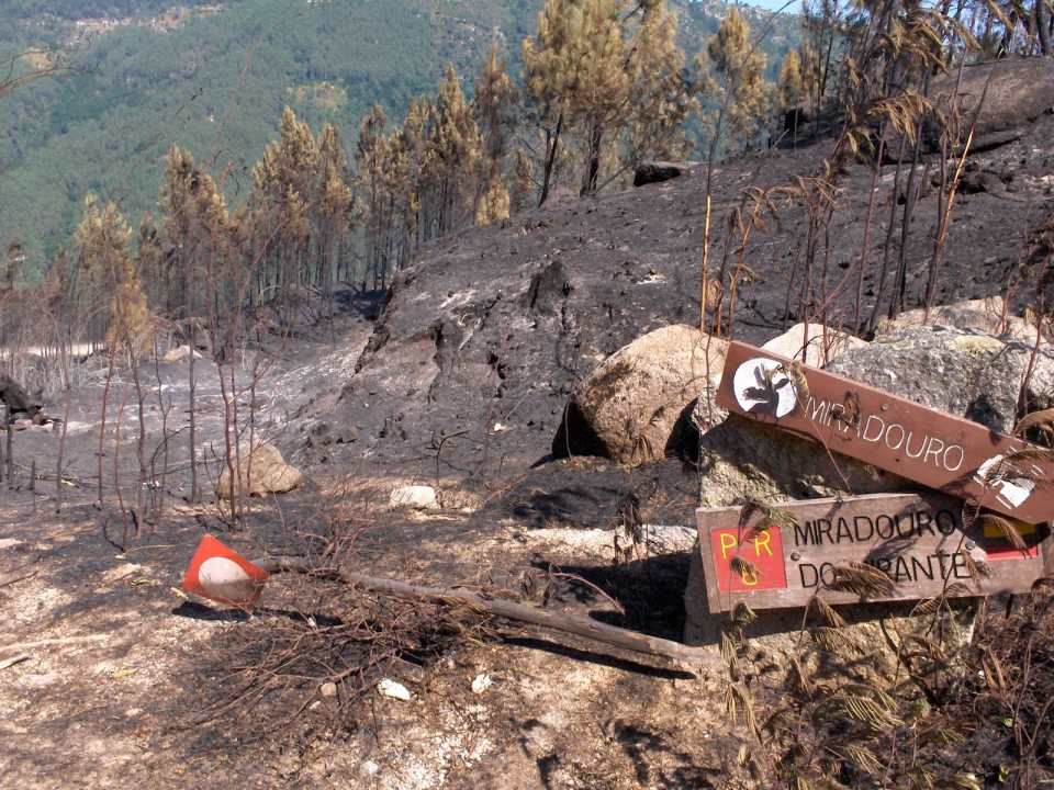 Incêndios. BE quer “gestão coerente” do Parque Nacional da Peneda-Gerês