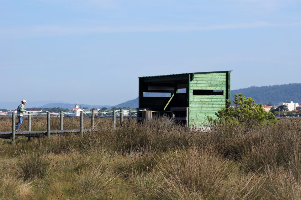 Destino da Natureza. Esposende reforça aposta em miradouros e pontos de observação de aves