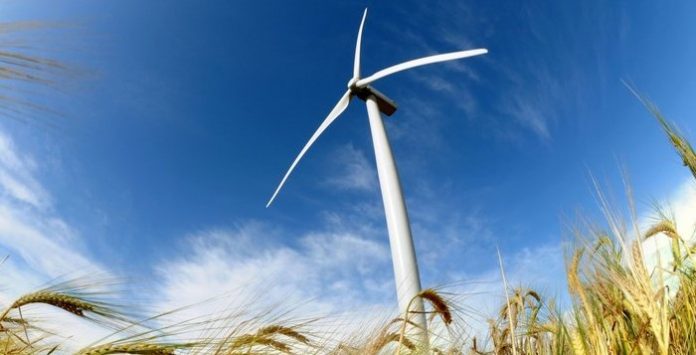 Mais de metade da electricidade consumida em 2019 veio de fontes renováveis