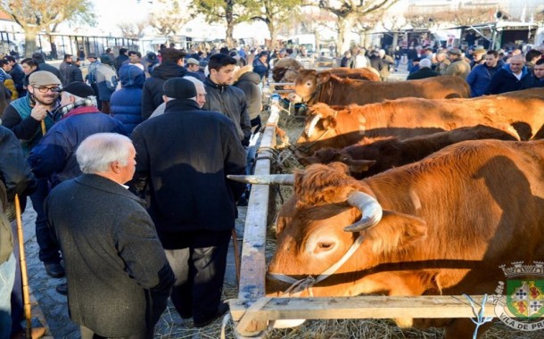 ‘Secular’ Feira dos Vinte arranca a dia 18