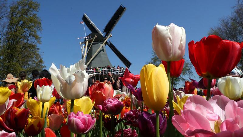 Holanda muda de nome e passa a chamar-se Países Baixos
