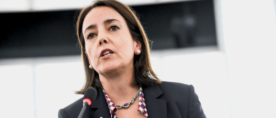 UE. Isabel Estrada vê aprovado documento sobre política de protecção à produção agrícola