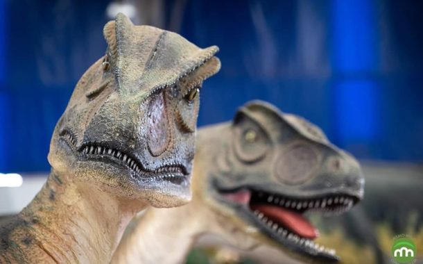 Dinossauros estão a chegar a Braga
