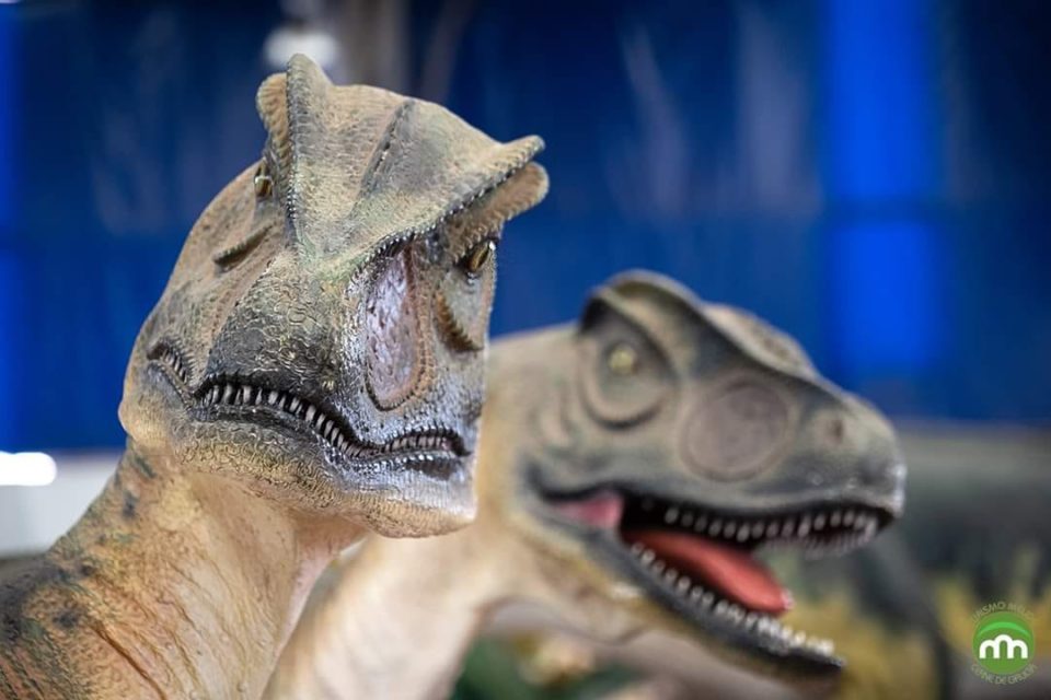 Dinossauros estão a chegar a Braga