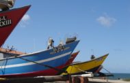 Governo aprova crédito até 20 milhões para sector da pesca e aquicultura, quando o preço do peixe cai a ‘pique’