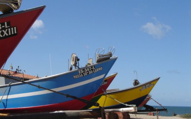 Governo aprova crédito até 20 milhões para sector da pesca e aquicultura, quando o preço do peixe cai a ‘pique’