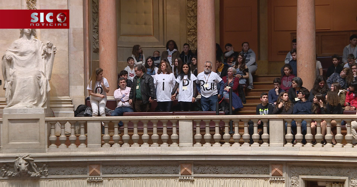 Manifestantes pedem liberdade para Rui Pinto no Parlamento