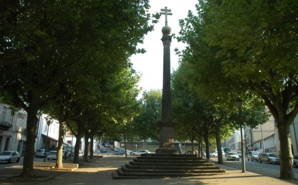 Câmara de Braga substituiu 130 árvores doentes por 400 novas