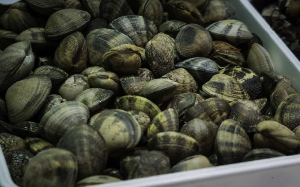 Apreendidas cerca de 2.5 toneladas de ameijoa japonesa em Braga