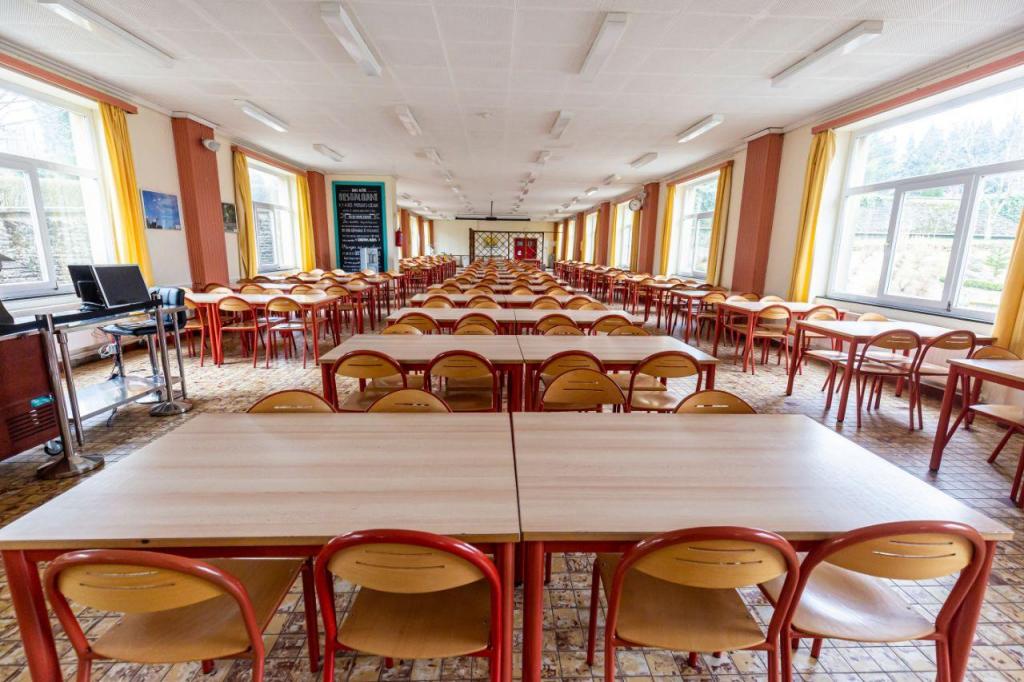 Fenprof defende testes à covid-19 para todos os que regressem à escola