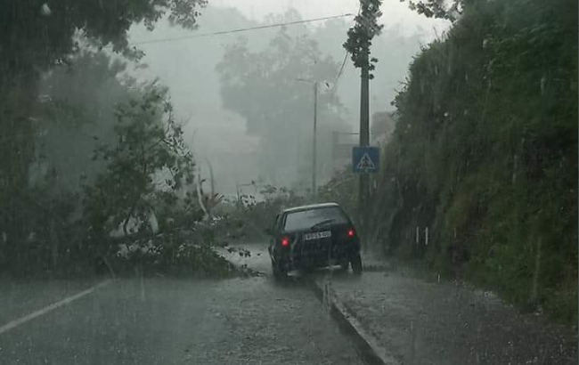 Chuva e granizo causam inundações e queda de árvores na Póvoa de Lanhoso