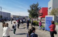 Bloco questiona Governo sobre despedimento colectivo e dívidas na Castimoda