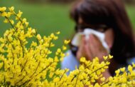Farmácias lançam campanha para ajudar a distinguir alergia e constipação