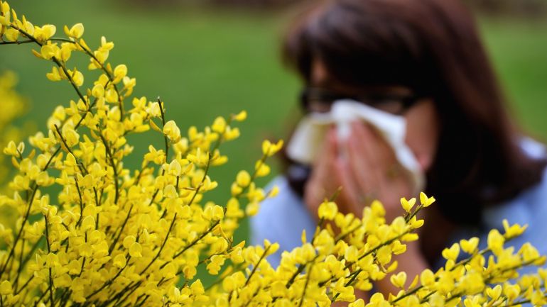 Farmácias lançam campanha para ajudar a distinguir alergia e constipação