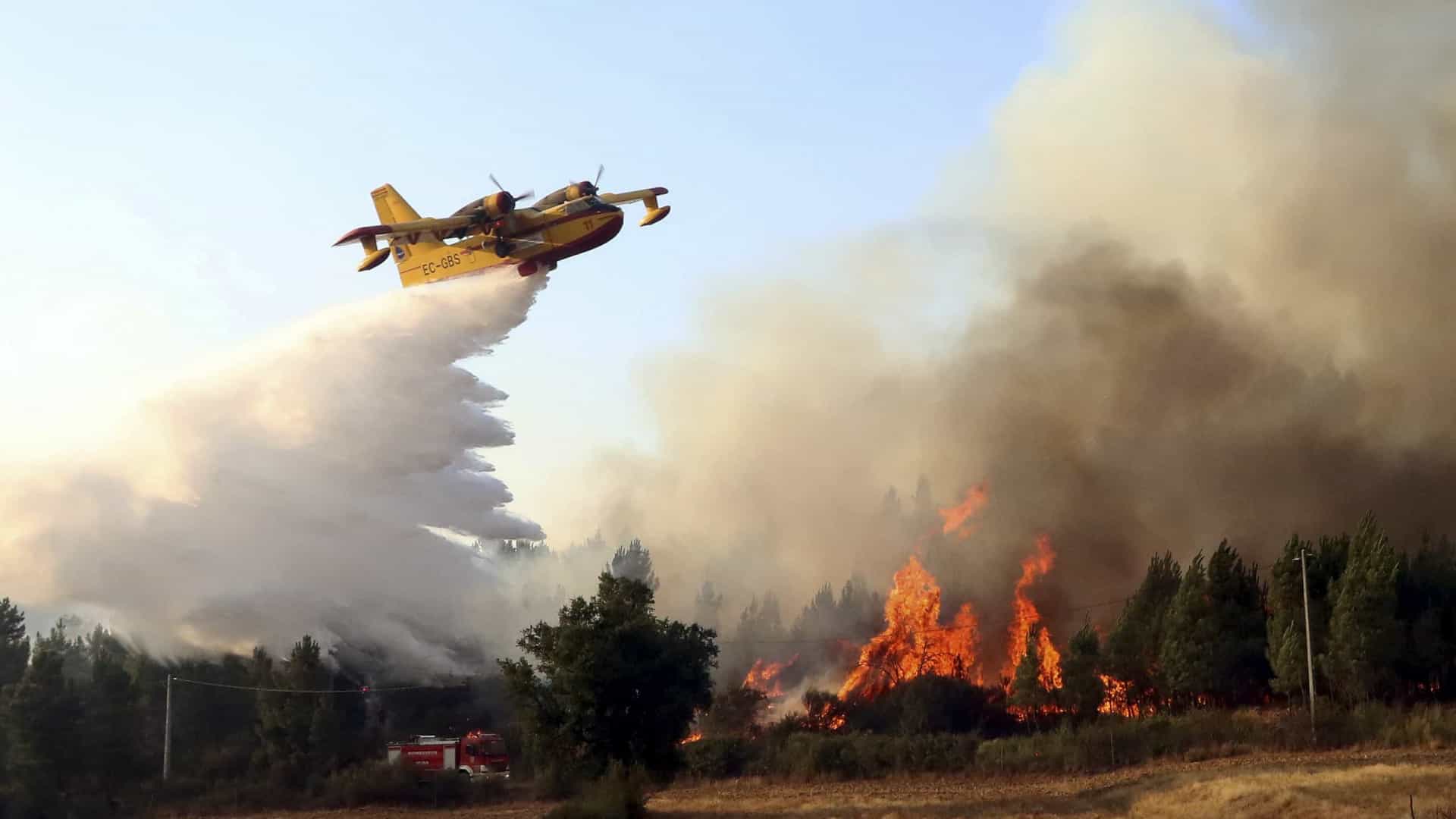Fogos florestais. Braga pede autorização para que meios aéreos pesados actuem no distrito