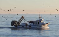 Pescadores de Esposende e Viana do Castelo ainda “sem calendário definido” para realização de testes à covid-19