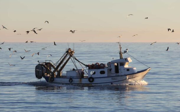 Pescadores de Esposende e Viana do Castelo ainda “sem calendário definido” para realização de testes à covid-19