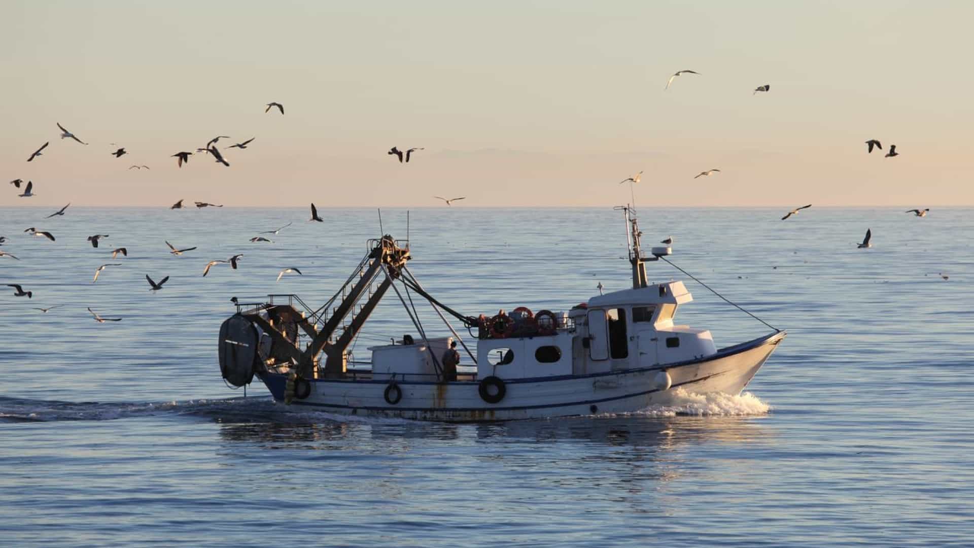 Pescadores de Esposende e Viana do Castelo ainda “sem calendário definido” para realização de testes à covid-19