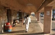 Póvoa de Lanhoso com mais um caso de covid-19. Celorico de Basto aumenta número de recuperados