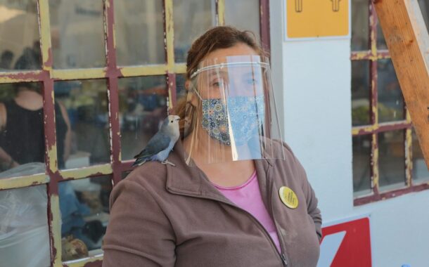 Barcelos e Amares com novos casos de covid-19. Caminha regista um doente recuperado