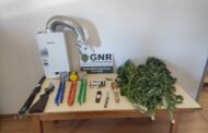 GNR deteve dois homens por tráfico de droga e posse de armas proibidas em Valença e Cerveira