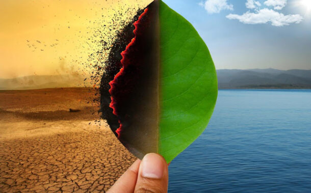 “Temos 6 meses para evitar uma crise climática”, alertam cientistas