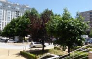 REPORTAGEM. “Revolta popular” contra Plano de Mobilidade agita zona da Zona da Torre Europa em Braga