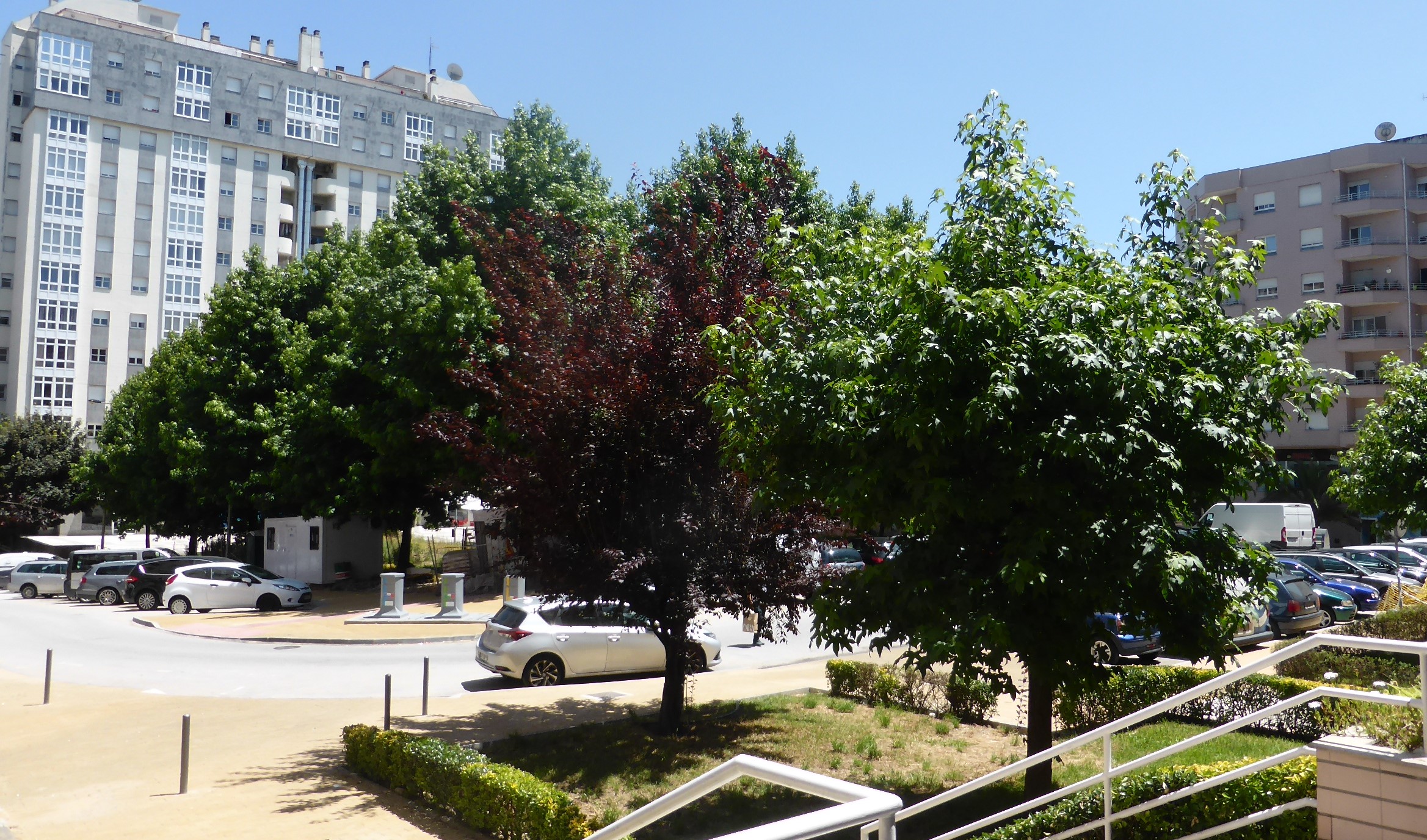 REPORTAGEM. “Revolta popular” contra Plano de Mobilidade agita zona da Zona da Torre Europa em Braga