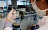 Estudo diz que vacina pode ser ineficaz em idosos de risco e que vacinar os netos é solução