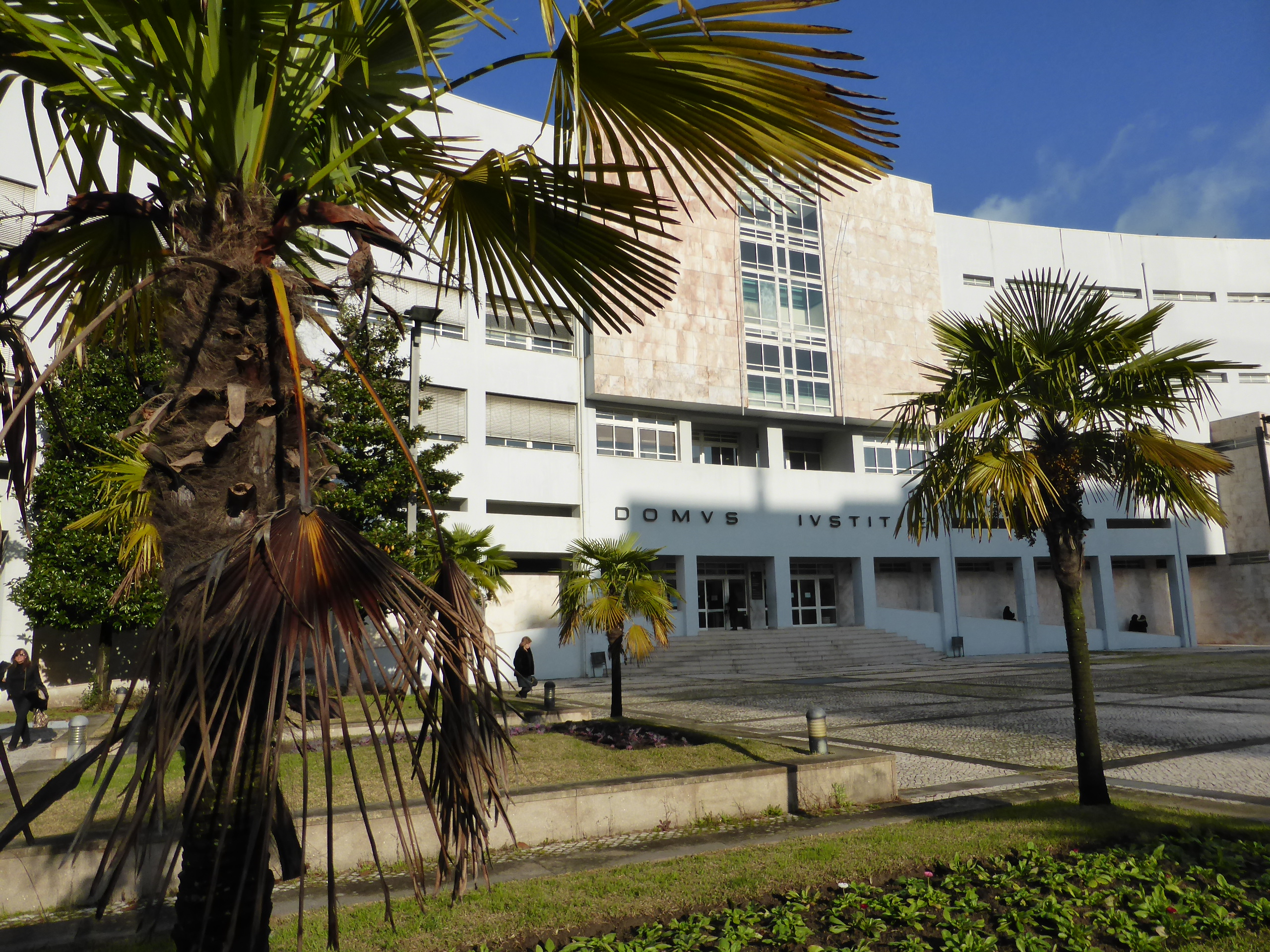 Tribunal de Braga condena a cinco anos de prisão homem que obrigou mulher a ter sexo com cão