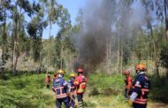 Câmara refuta BE. Braga tem Plano Municipal de Defesa da Floresta Contra Incêndios actualizado até Janeiro de 2021