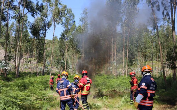 Câmara refuta BE. Braga tem Plano Municipal de Defesa da Floresta Contra Incêndios actualizado até Janeiro de 2021