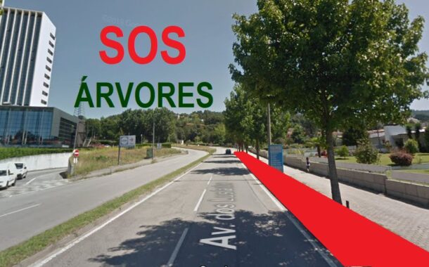 Variante da Encosta. Câmara nega abate de uma centena de árvores e acusa promotores de petição de “não conhecer” o local