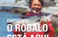 Onde está o Robalo? “O Robalo está aqui” para mostrar Esposende como gastronómico de peixe e marisco