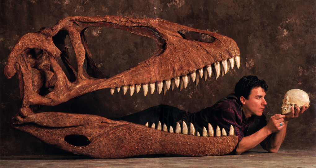 Descoberta nova espécie de dinossauro carnívoro na região Oeste