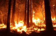 Braga em risco máximo de incêndio florestal