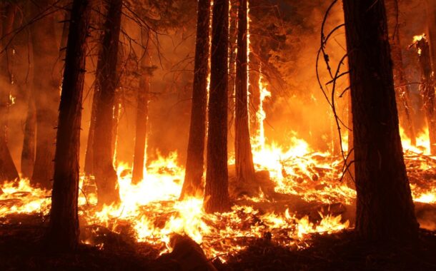 Braga em risco máximo de incêndio florestal