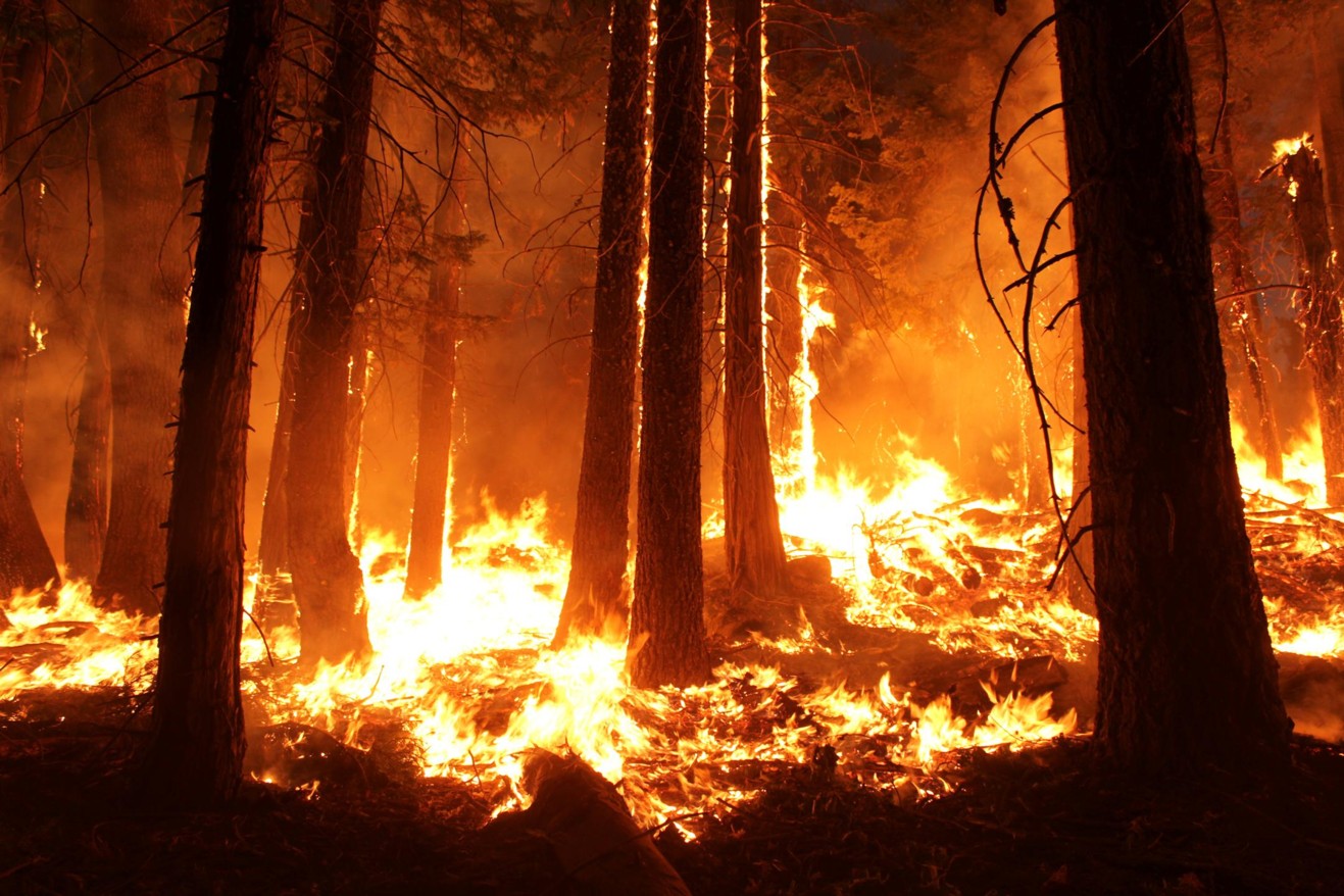 Braga em risco máximo de incêndio florestal