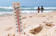 Aviso laranja. Minho com máximas de 38 graus este domingo
