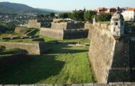 BE avisa que árvores na Fortaleza de Valença são “crime contra o património”. Câmara nega