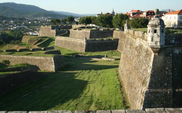 BE avisa que árvores na Fortaleza de Valença são “crime contra o património”. Câmara nega