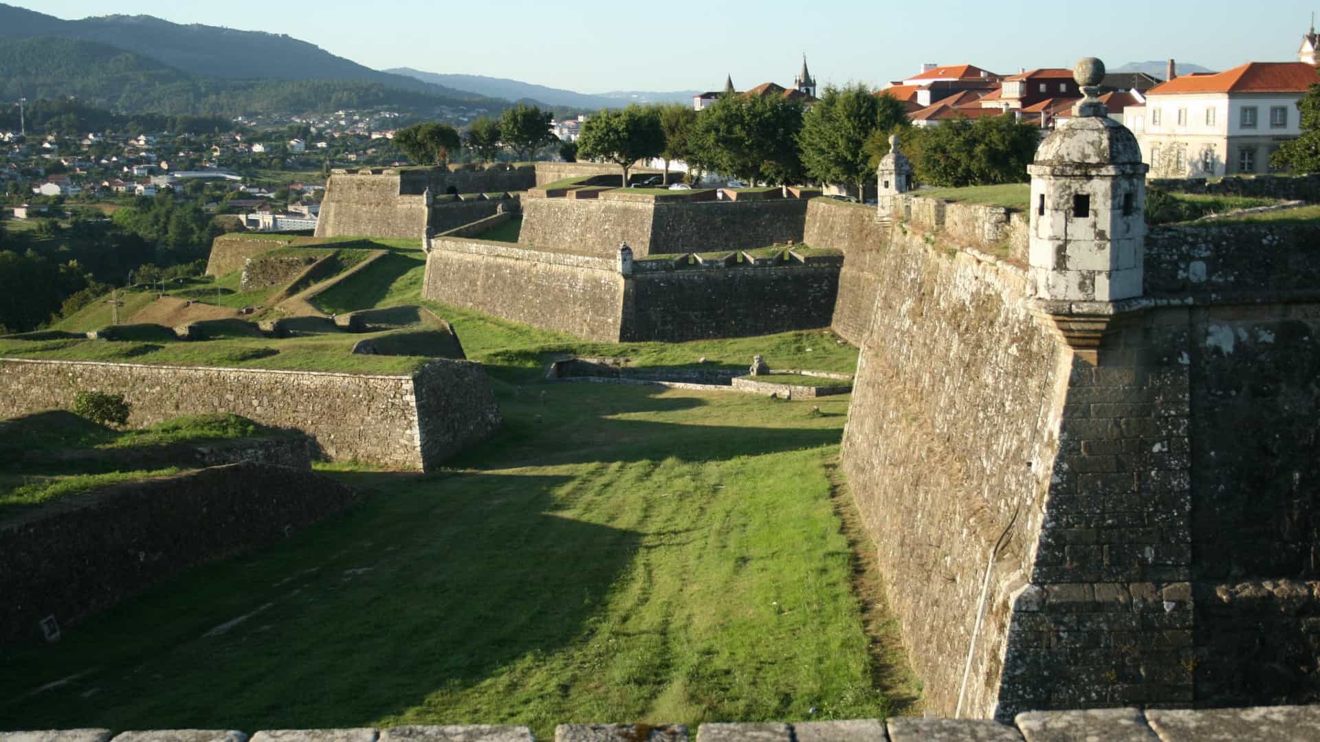 BE avisa que árvores na Fortaleza de Valença são “crime contra o património”. Câmara nega