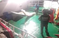 GNR apreende atum e espadarte no valor de 190 mil euros em Viana do Castelo