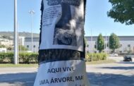 PSP identifica activistas contra abate de árvores em Braga